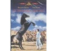 Der schwarze Hengst kehrt zurück [Alemania] [DVD]