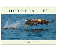 DER SEEADLER Ein Portrait des größten Greifvogels Mitteleuropas (Wandkalender 2026 DIN A3 quer), CALVENDO Monatskalender: Der mächtige Raubvogel bei der Jagd und ein Jungvogel im Nest.