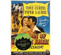 Der Sohn von Ali Baba [Alemania] [DVD]