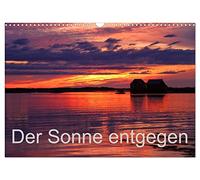 Der Sonne entgegen (Wandkalender 2026 DIN A3 quer), CALVENDO Monatskalender: Sonnenuntergänge, die Sonne in Ihrem schönsten Licht