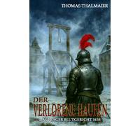 Der verlorene Haufen - Das Prager Blutgericht 1633: Ein historischer Kriminalroman im Dreißigjährigen Krieg: 2 (Die Meding-Chroniken - Historische Kriminalromanreihe im Dreißigjährigen Krieg)