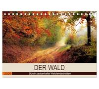 Der Wald. Durch zauberhafte Waldlandschaften (Tischkalender 2026 DIN A5 quer), CALVENDO Monatskalender: Der Wald als duftender Erholungsraum.