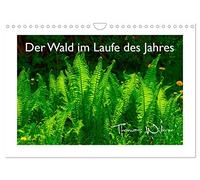Der Wald im Laufe des Jahres (Wandkalender 2026 DIN A4 quer), CALVENDO Monatskalender: 12 Wunderbare Aufnahmen zeigen den Naturraum Wald in allen Jahreszeiten, liebevoll erstellt von Thomas Willerer.