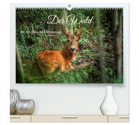 Der Wald - Ort der Ruhe und Besinnung (hochwertiger Premium Wandkalender 2026 DIN A2 quer), Kunstdruck in Hochglanz: Waldimpressionen durch alle Jahreszeiten