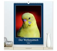 Der Wellensittich - mein bester Freund (hochwertiger Premium Wandkalender 2026 DIN A2 hoch), Kunstdruck in Hochglanz: Der neue Wellensittichkalender! ... Repräsentativ und aussagekräftig.