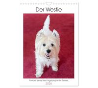 Der Westie - Portrait eines West Highland White Terriers (Wandkalender 2026 DIN A4 hoch), CALVENDO Monatskalender: Wunderschöne Fotos eines West ... Liebhabern nur kurz Westie genannt wird.