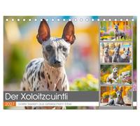 Der Xoloitzcuintli. Uralte Seelen aus aztekischem Erbe (Tischkalender 2027 DIN A5 quer), CALVENDO Monatskalender: Die zeitlose Schönheit der seltenen Xolos in stimmungsvollen Szenen
