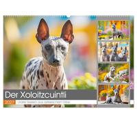 Der Xoloitzcuintli. Uralte Seelen aus aztekischem Erbe (Wandkalender 2027 DIN A2 quer), CALVENDO Monatskalender: Die zeitlose Schönheit der seltenen Xolos in stimmungsvollen Szenen