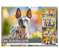 Der Xoloitzcuintli. Uralte Seelen aus aztekischem Erbe (Wandkalender 2027 DIN A3 quer), CALVENDO Monatskalender: Die zeitlose Schönheit der seltenen Xolos in stimmungsvollen Szenen