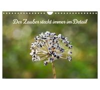 Der Zauber steckt immer im Detail (Wandkalender 2026 DIN A4 quer), CALVENDO Monatskalender: Vieles in der Natur erst auf den zweiten Blick schön, wenn man genauer hinsieht!