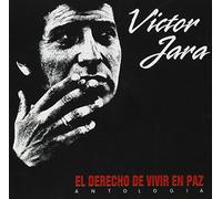 DERECHO A VIVIR EN