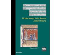 Derecho Canónico en perspectiva histórica: Fuentes, ciencia e instituciones (Manuales del IMA)