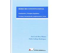 DERECHO CONSTITUCIONAL. FUNDAMENTOS Y PRINCIPIOS DOGMÁTICOS.: LECCIONES, DOCUMENTACIÓN COMPLEMENTARIA Y TEXTOS.