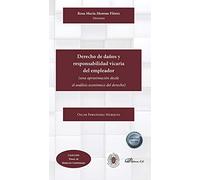 Derecho De Daños y Responsabilidad Vicaria Del Empleador: (una aproximación desde el análisis económico del derecho) (SIN COLECCION)