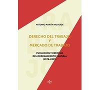 Derecho del trabajo y mercado de trabajo: Evolución y reforma del ordenamiento laboral (1976-2019) (Derecho - Estado y Sociedad)