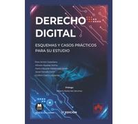 Derecho Digital. Esquemas Y Casos Prácticos Para Su Estudio