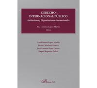Derecho Internacional Público: Instituciones y Organizaciones Internacionales (SIN COLECCION)