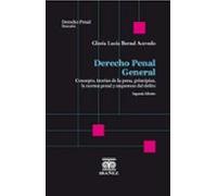 Derecho Penal General (ebook)