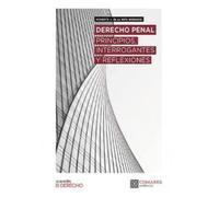 Derecho Penal: Principios, interrogantes y reflexiones (ALMACEN DE DERECHO)