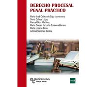 Derecho Procesal Penal Práctico (Manuales)