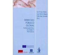 Derecho Publico Global: Fundamentos Actores Y Procesos