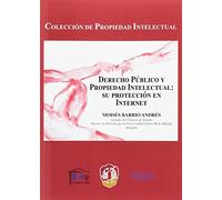 Derecho público y propiedad intelectual: su protección en internet