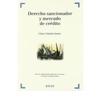 Derecho sancionador y mercado de crédito: Con los cambios producidos tras la creación del Banco Central Europeo (SIN COLECCION)