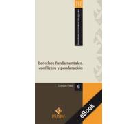 Derechos Fundamentales Conflictos Y Ponderación (ebook)