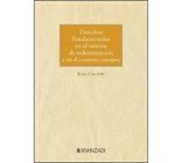 Derechos Fundamentales En El Sistema De Indemnización Y En El Con Text