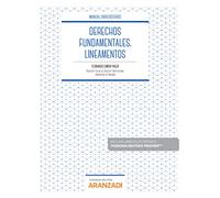 Derechos fundamentales. Lineamentos (Manuales)