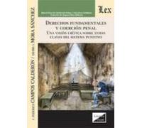 derechos fundamentales y coercion penal