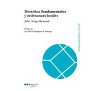Derechos Fundamentales Y Ordenanzas Locales