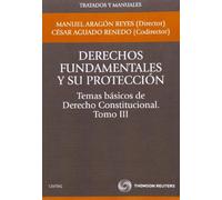 T3 Derechos Fundamentales Y Su Proteccion: Temas Basicos De Dere Cho