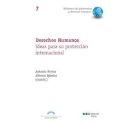 Derechos humanos. Ideas para su protección internacional (Biblioteca de gobernanza y drerechos humanos)