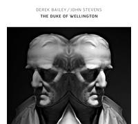 Derek Bailey & John Stevens - The Duke Of Wellington