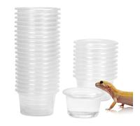 DERNORD Gecko Feeding Ledge - Cuenco de plástico de 5 x 3 cm, 30 unidades, cuenco de succión para reptiles, dragón barbudo, leopardo, crestado, accesorios para vivero
