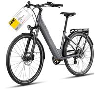 DERUIZ Bicicleta eléctrica de cuarzo de 28 pulgadas, sensor torque para | Motor trasero de 250 W, 55 Nm, batería de 48 V 644 Wh hasta 161 km, Shimano de 8 marchas, frenos de disco hidráulicos, StVZO