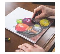 Derwent Academy Pasteles al oleo (12 unidades)