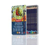 Derwent Inktense Pinturas de Colores Solubles en Agua, Estuche de 12 Colores, Núcleo de 4mm, Soluble en Agua, Ideal para Colorear, Pintar y Dibujar, Calidad Profesional (0700928)