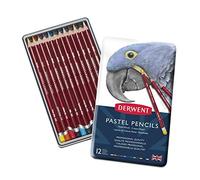 DERWENT Lápices Derwent Pastel para Dibujar y Escribir, Set de 12, Ideal para Mezclar y Colorear, Calidad Profesional, 32991