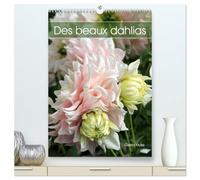 Des beaux dahlias (Calendrier mural 2026 DIN A2 horizontal) calendrier de bureau: Les dahlias du jardin fascinent par leurs innombrables formes et couleurs