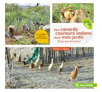 Des canards coureurs indiens dans mon jardin: Stop aux limaces ! (Facile et bio)