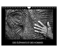 DES ÉLÉPHANTS ET DES HOMMES (Calendrier mural 2026 DIN A4 vertical), CALVENDO calendrier mensuel: La relation entre les éléphants et les hommes en Asie du sud-est