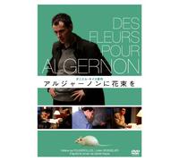 Des Fleurs pour Algernon [DVD de Audio]