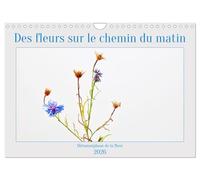 Des fleurs sur le chemin du matin (Calendrier mural 2026 DIN A4 vertical), CALVENDO calendrier mensuel: La métamorphose des fleurs, les moyens de semer