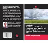 Desafios socioeconómicos dos pequenos agricultores na prática agrícola: Em Robe Woreda, Zona de Arsi, Região de Oromia, Etiópia