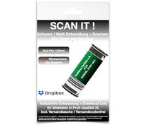 Desarrollo de películas + escaneo de 120 mm en Rollo de película Negro/Blanco - Datos de Imagen por Dropbox XL Escaneo 3637 x 3637 px a 6 x 6