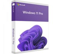 Descarga de Microsoft Windows 11 Pro OEM