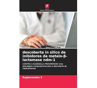 descoberta in silico de inibidores da metalo-β-lactamase ndm-1: CONTRA A KLEBSIELLA PNEUMONIAE Uma abordagem computacional para a descoberta de medicamentos