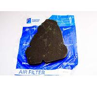 Desconocido Elemento Filtrante De Aire Filtro De Aire Piaggio, Premium para Vespa Et4 Leader, 4874010P